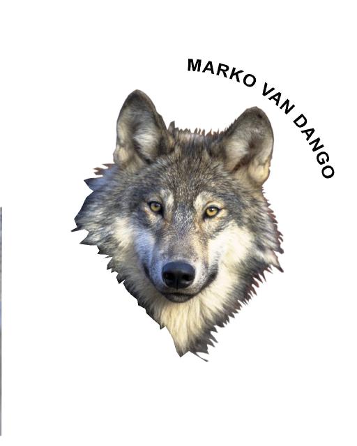 Marko Van Dango
