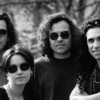 The original line-up of Baby Animals reunite for anniversary gigs after eight years of silence