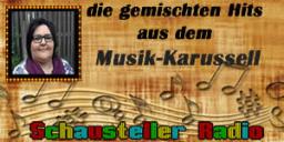 die gemischten Hits aus dem Musik-Karussell