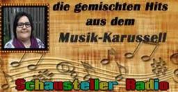 gemischte Hits aus dem Musik-Karussell