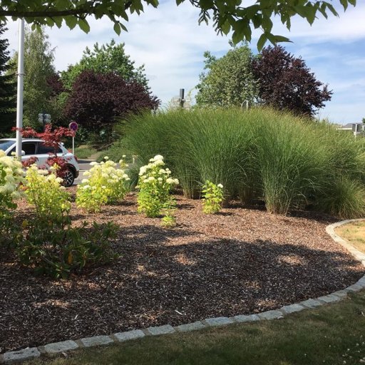 4.  Impressionen f&uuml;r die TV-Sendung ,,Melodien nur f&uuml;r Dich,,