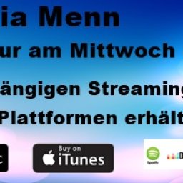 Lydia Menn-Der Mann der nur am Mittwoch kann.jpg