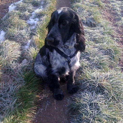 Da war er noch klein, mein Moritz