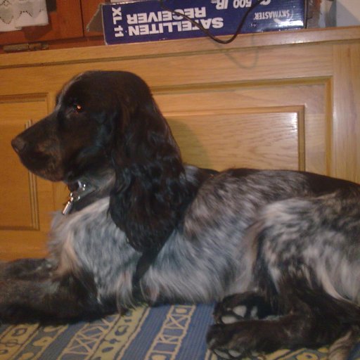 Moritz in der K&uuml;che