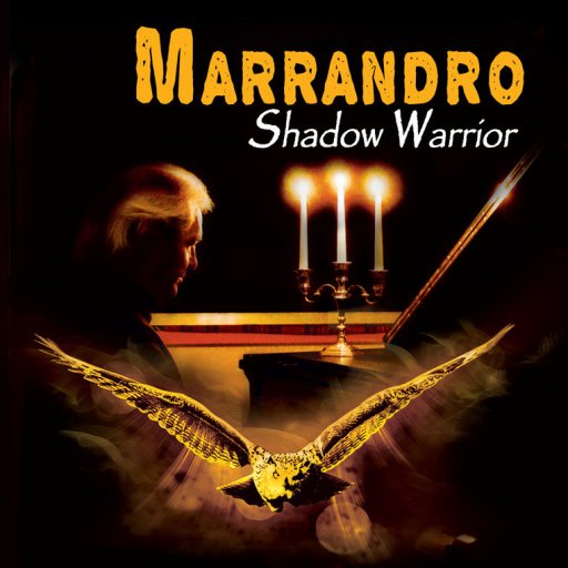 Shadow Warrior