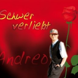 Andreo-Schwer Verliebt Cover Vorne.jpg