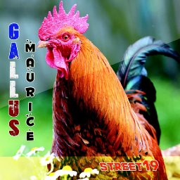 Street19-Gallus Maurice-Cover.jpg