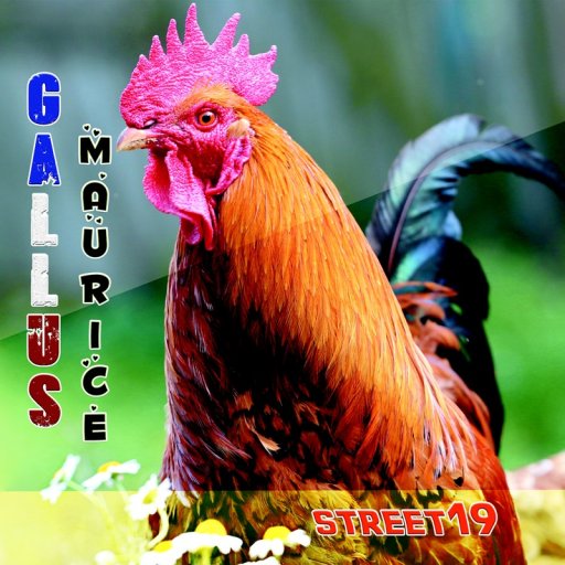 Street19-Gallus Maurice-Cover
