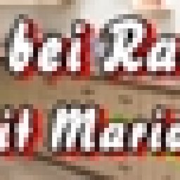 Banner Zu Gast bei Radio wienerlied.jpg