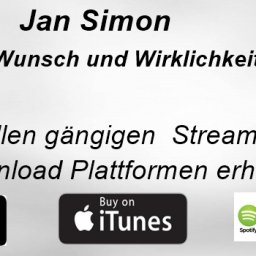 Jan Simon-Zwischen Wunsch und Wirklichkeit.jpg