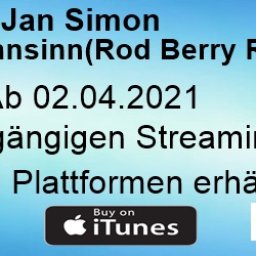 Jan Simon Richtung Wahnsinn (Rod Berry Remix).jpg