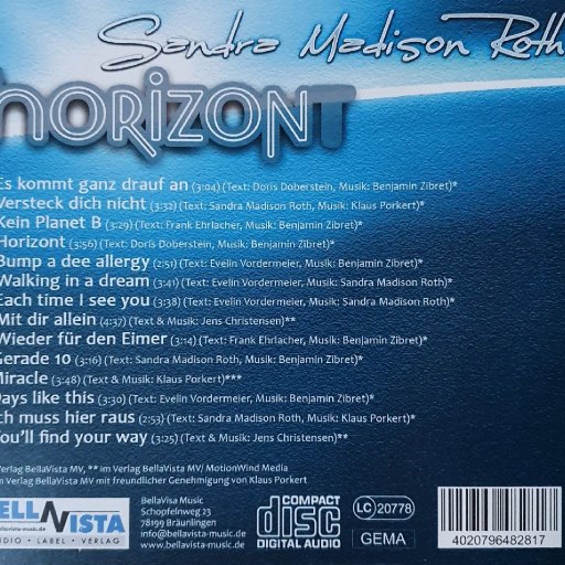 Sandra Madison Roth - Horizont - 2020