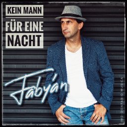 Cover Art -2- Kein Mann f&uuml;r eine Nacht --Fabyan.jpg
