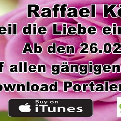 Raffael König- weil die liebe eine rose ist