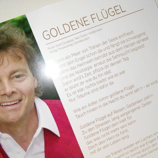 Goldene Fluegel Liedtext