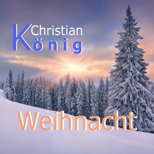 Weihnacht4