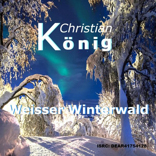 Weisser Winterwald4_b