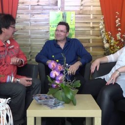 Stars Aktuell Mit Dem Cd Tipp Des Monats (Harmony).jpg