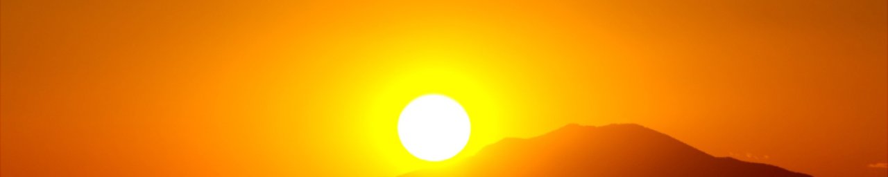 Bert  J&uuml;rgensen