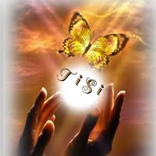 TiSi 