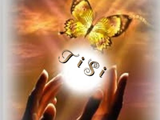 TiSi 