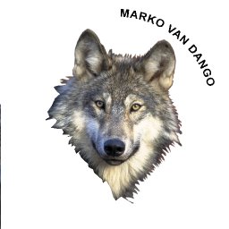 Marko Van Dango