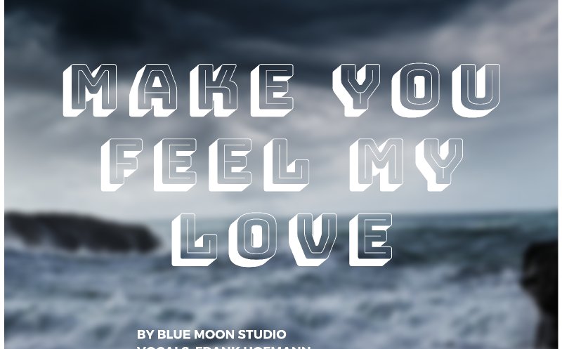Make You Feel My Love (Cover)
