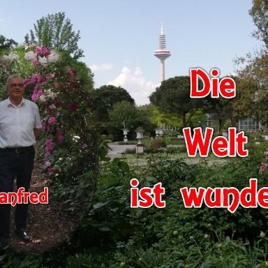 Die Welt ist wundervoll