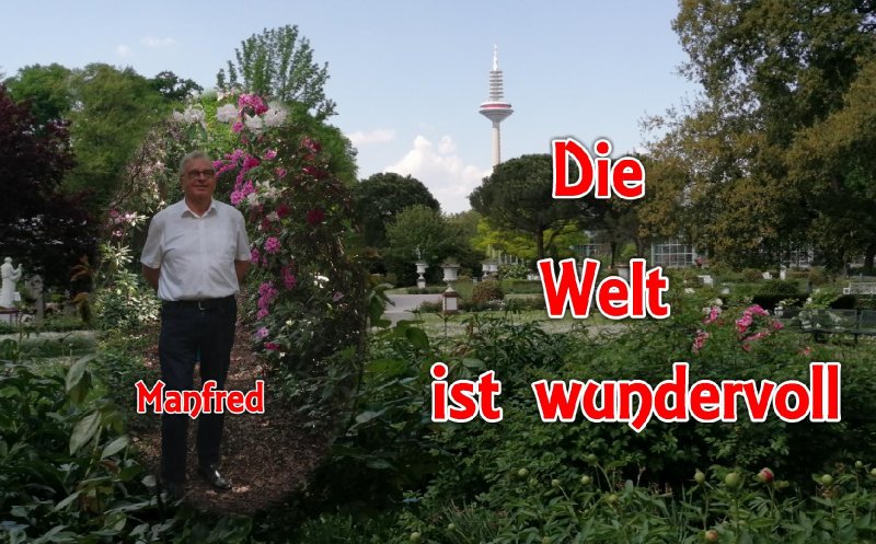 Die Welt ist wundervoll