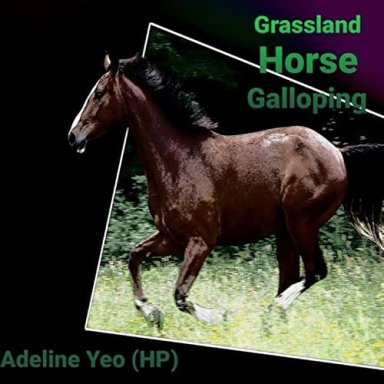 Grassland Horse Galloping