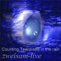 Teardrops In The Rain