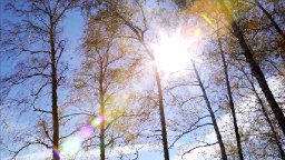 Wenn die Sonne wieder lacht